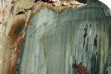 Freestanding Gary Green Jasper (Larsonite) Bog Wood - Oregon #377814-1